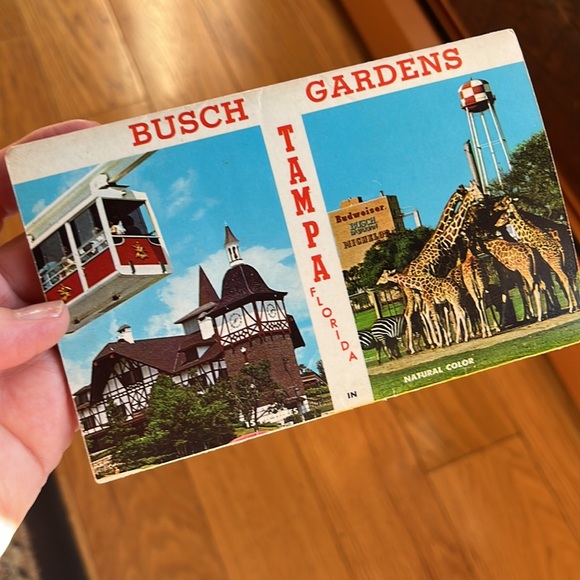 TAMPA FLORIDA SOUVENIR POSTCARD FOLDER COLOR VIEWS 1970s VINTAGE TRAVEL - Picture 3 of 12